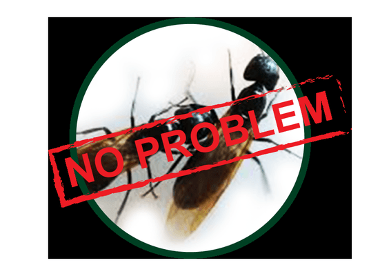 Call today for a Free Termite Inspection.