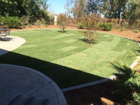 Landscape renovation