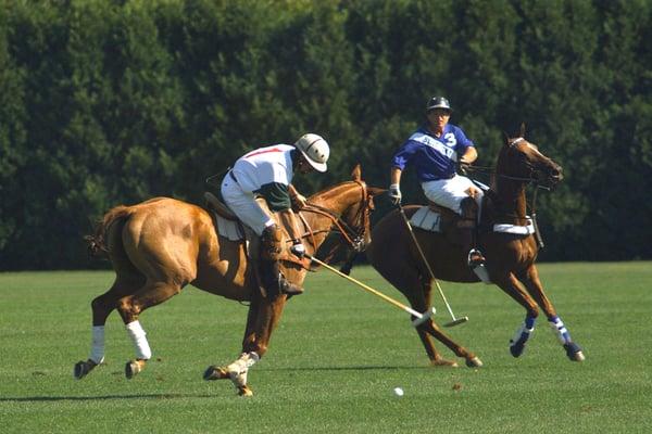 Saratoga Polo