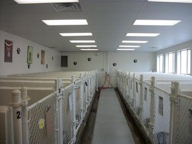 Green Hills Kennels