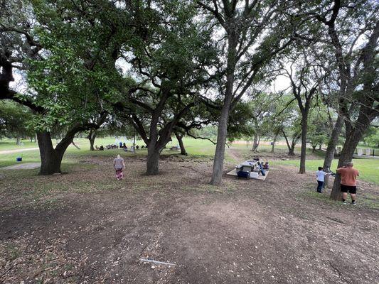 Nice wooded area with benches