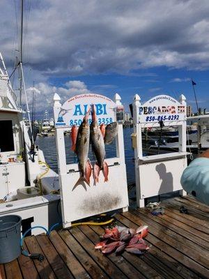 Crystal Beach Charters