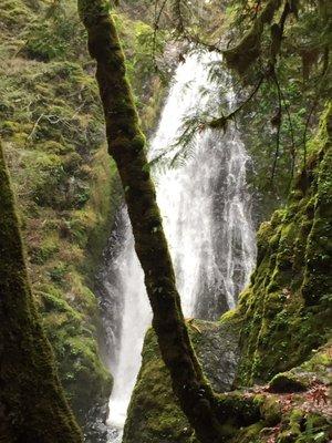 Great waterfall and easy walk of about a mile.