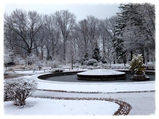 On my fave running trail at Wilson Park this past winter.