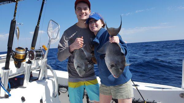 Nice Triggerfish!  2018