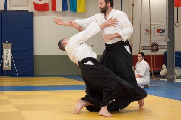 Great Lakes Aikido