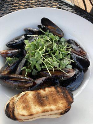 Mussels