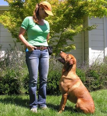 Moon Valley Canine Training