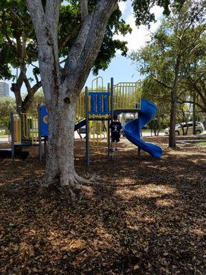 Small playground under the trees.