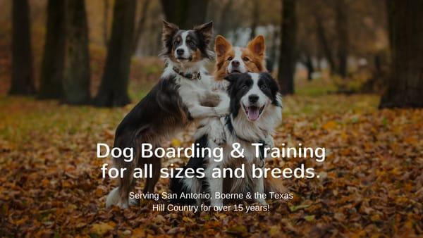 PAWSitive Solutions Dog & Puppy Training