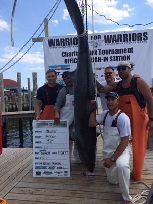 Great location for tournament weigh-ins.  Here is a 442 lb. Thresher!