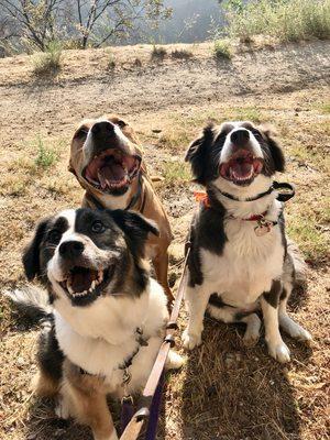 Happy hikers