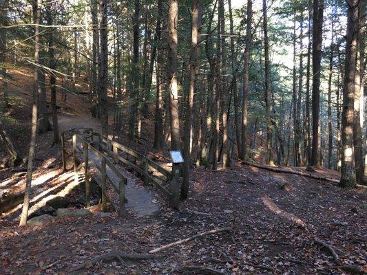 Waterfall trail with bridge