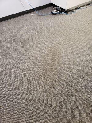 Carpet cleaning at Doral before