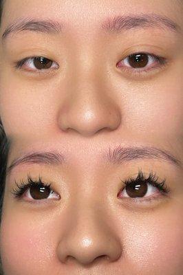 Hybrid Manga Lash Set