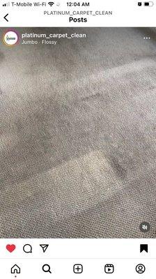 Platinum Carpet Cleaning