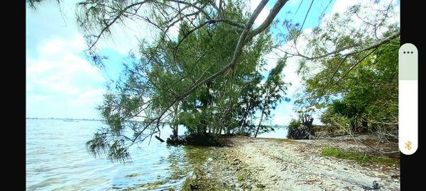 Uninhabited island in the Indian River Lagoon