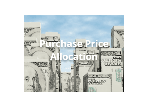 Purchase Price Allocation Services