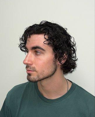 A lived in curly style can look professional with a   custom cut that enhances the curl pattern and allows it to be styled with ease.