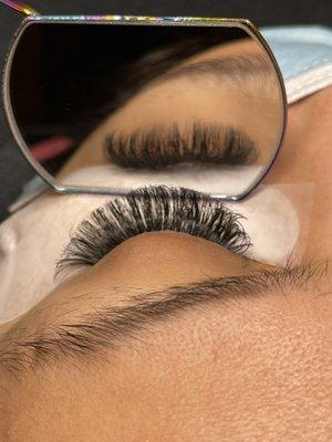 C/D volume lashes