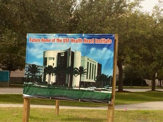 USF Health Eye Institute