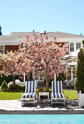 uPool lounge area with custom navy & white striped cushions