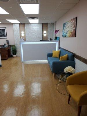 Modern Dental Reception Area