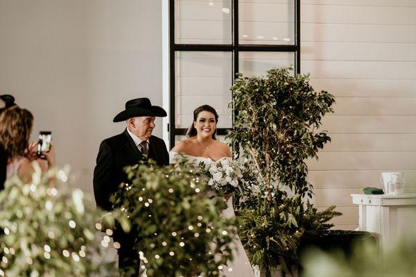 Trees, twinkle lights, and black planters from San Diego Interior Foliage