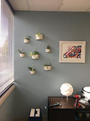 Succulent wall