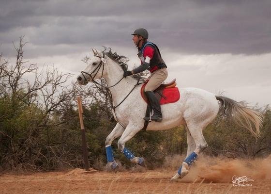 Trailhead Ranch - Cave Creek