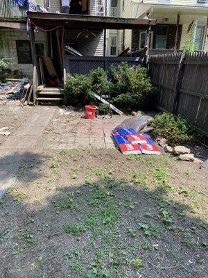 Cleaning Backyard.