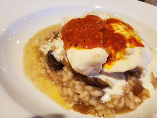 halibut over truffled risotto