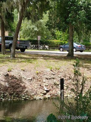 Lake Gibson Park Boat Ramp