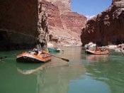 oar powered whitewater rafting trips down the Colorado River in the Grand Canyon