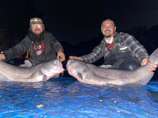 Stocking the lake