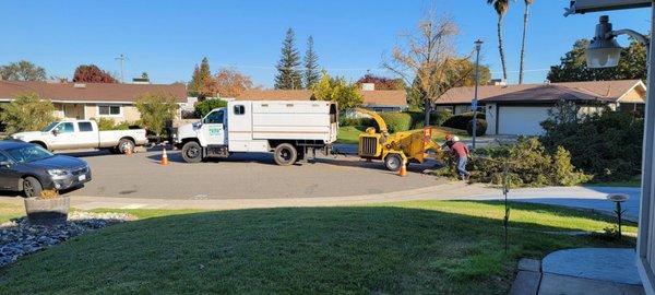 Big Ole Wood Chipper