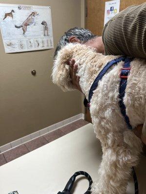 At the vet