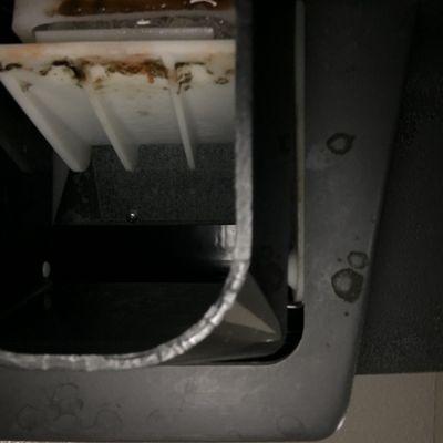 Mold in the ice machine