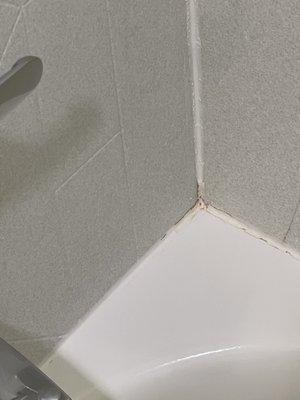 Mold and mildew in shower.