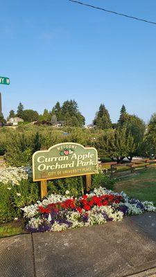 Curran Apple Orchard, University Place