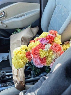 Carnations