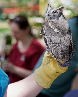 1st Annual Youth Science Institute (YSI) Earth Day Celebration at Alum Rock Park