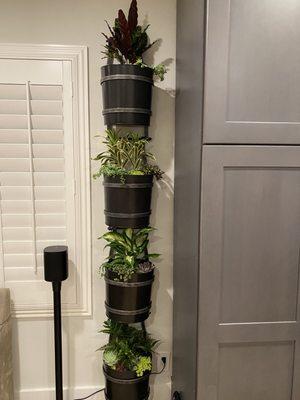 Hanging wall planter