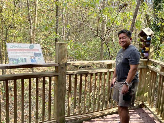 At the wetlands lookout.