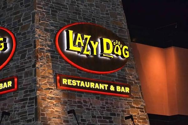 Lazy Dog - Dublin