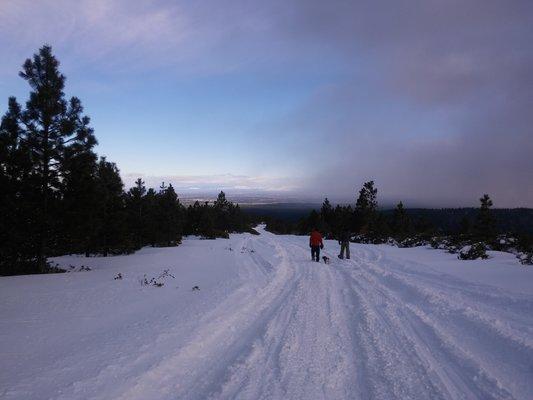 Bend Winter Snowshoeing with friends