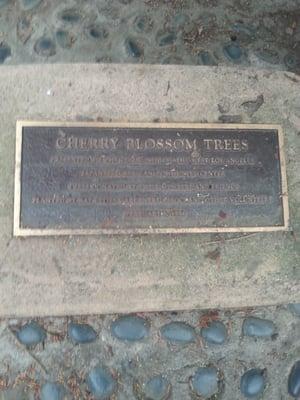 cherry blossom tree plaque