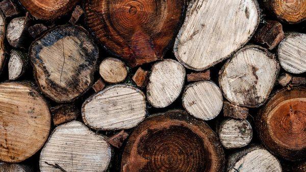 We offer seasoned firewood ready to be delivered.