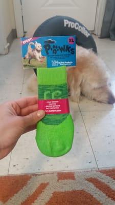 Bought these socks for my pups feet (against the hot pavement ) $15