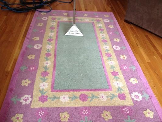 Area rug cleaning